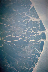 The Niger Delta from space. Credit: NASA.